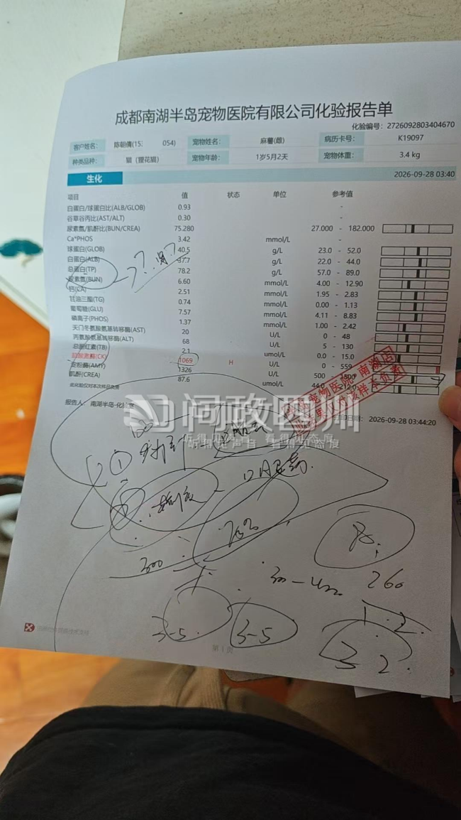 成都山姆会员商店（天府新区店)毒猫粮 - 问政四川—四川第一网络问政理政平台